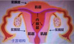 子宫肌腺病能试管怀孕吗？