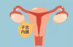 子宫内膜癌能正常排卵吗？内膜癌早期做试管有什么靠谱的方案？