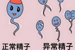 精子活力低会影响怀孕吗?精子活力低该怎么办?