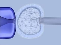 试管婴儿囊胚技术揭秘：一项高效、安全的生育奇迹