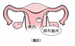 囊胚宫外孕几率并不大，但是容易导致严重后果产生