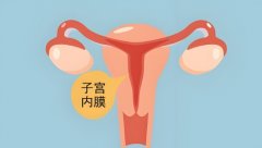 子宫内膜多厚可以怀孕?怀孕前还需要注意什么?