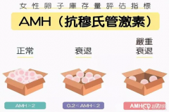 女性生殖健康的关键参考：AMH与年龄对照解析