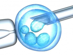 试管冻胚移植要花多少钱？地区医院不同，价格有差异哦！
