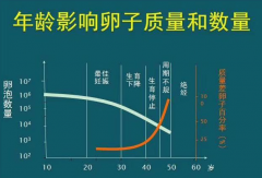 30岁后卵子质量直线下降?冻卵前必做的6项检查!