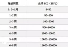 HCG翻倍奇迹：试管移植后14天，血值飙升预示好孕来