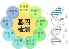 为什么染色体异常患者需要做第三代试管婴儿?