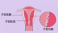 先天性无子宫和卵巢，身体会有哪些变化？这些影响不容忽视！