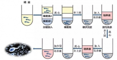 试管婴儿精子怎么筛选,在试管婴儿中怎么挑选优质精子