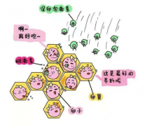 ‌试管婴儿失败应对全攻略：五步让你走出阴霾，迎接新希望