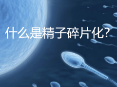 精子碎片化率高？第三代试管技术为你护航