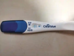 clearblue验孕棒怎么用？使用技巧科普