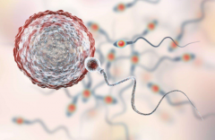 吃勃锐精精子越来越少是怎么回事？最新答案在这里！