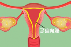 内膜损伤对试管移植有什么影响？怎么降低内膜损伤风险？