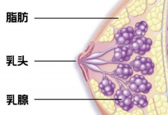 乳腺增生和乳腺结节不是一回事，如何预防乳腺疾病赶紧学起来！