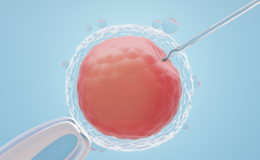 试管婴儿哪家医院包成功？选择这些医院，你的生育之路更有保障！