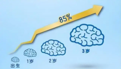 孩子0-18岁大脑发育四个关键时期，家长一定要学会科学育儿！