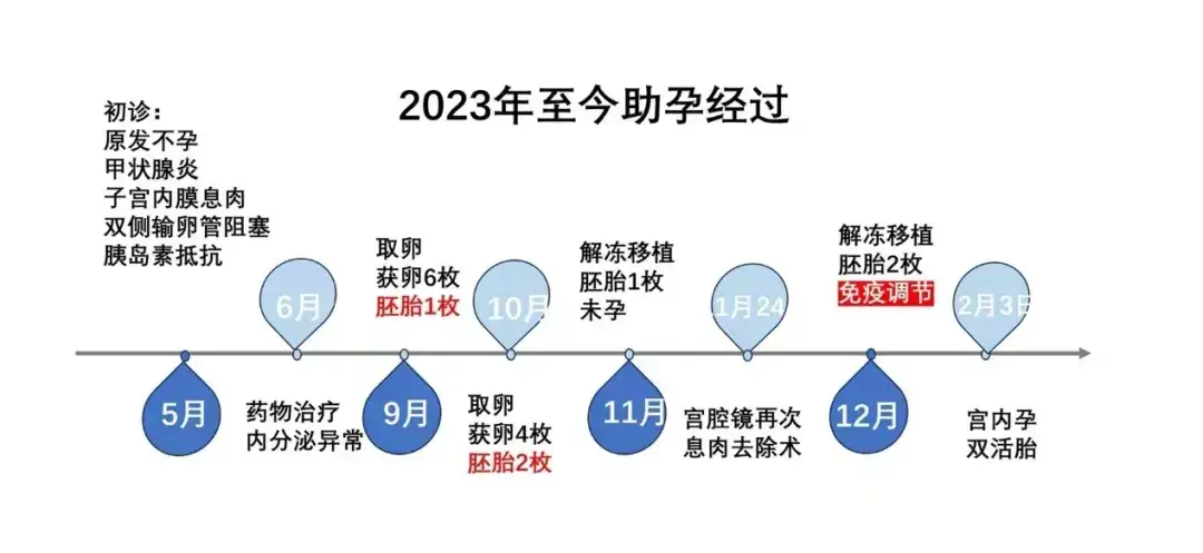 试管婴儿治疗过程