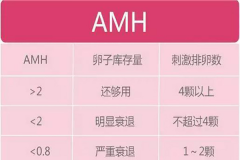 AMH和卵巢功能之间有什么关系？不同年龄段女性amh参考标准！