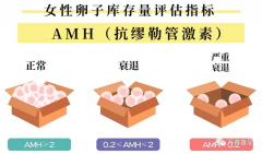 amh0.03说明卵巢早衰严重，用这些办法可以调理！