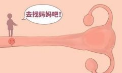 幼稚子宫备孕难题？专业策略助你提高怀孕几率，迎接好“孕”气